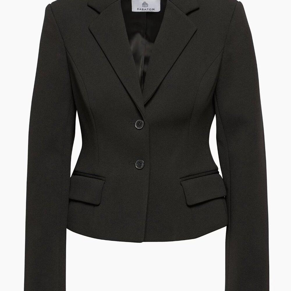 Aritzia Babaton CURATE BLAZER